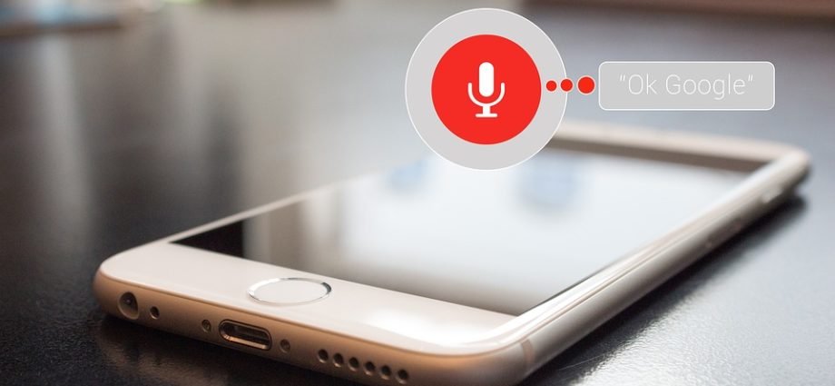 Voice Enables mobile application